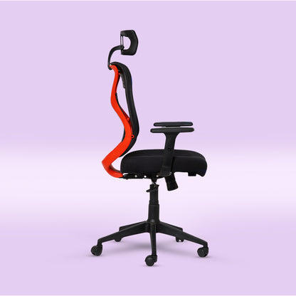 ErgoPRO Ergonomics Chair