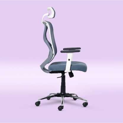 ErgoPRO Ergonomics Chair