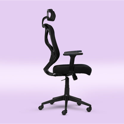 ErgoPRO Ergonomics Chair