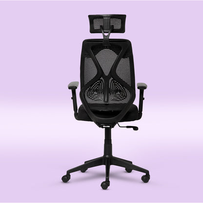 ErgoPRO Ergonomics Chair