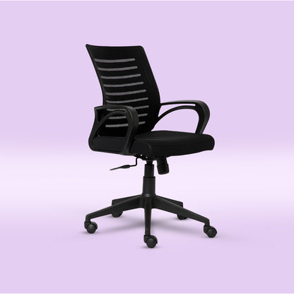 PosturePRO Ergonomics Chair