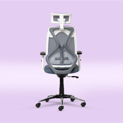 ErgoPRO Ergonomics Chair