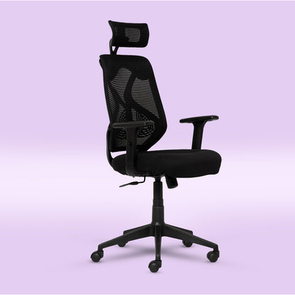 ErgoPRO Ergonomics Chair