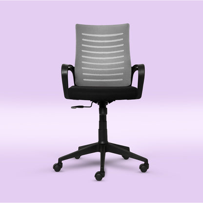 PosturePRO Ergonomics Chair