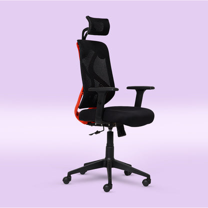 ErgoPRO Ergonomics Chair