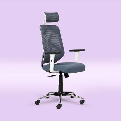 ErgoPRO Ergonomics Chair