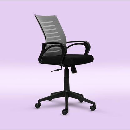 PosturePRO Ergonomics Chair