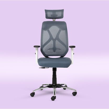 ErgoPRO Ergonomics Chair