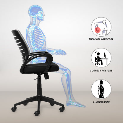 PosturePRO Ergonomics Chair